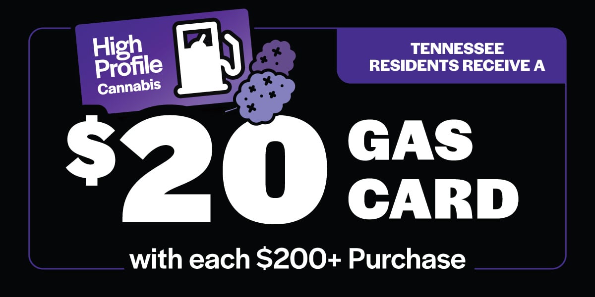 High Profile Gas For Gas Landing Page 1200x600 Holland