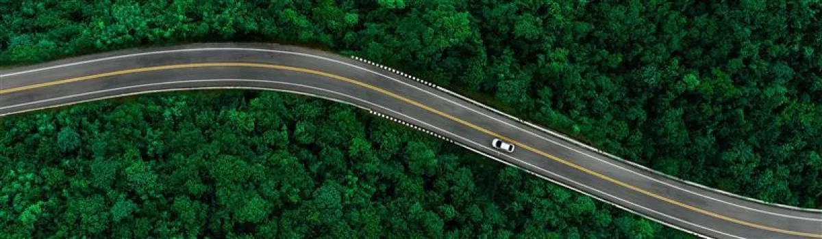 Summer road trip with cannabis