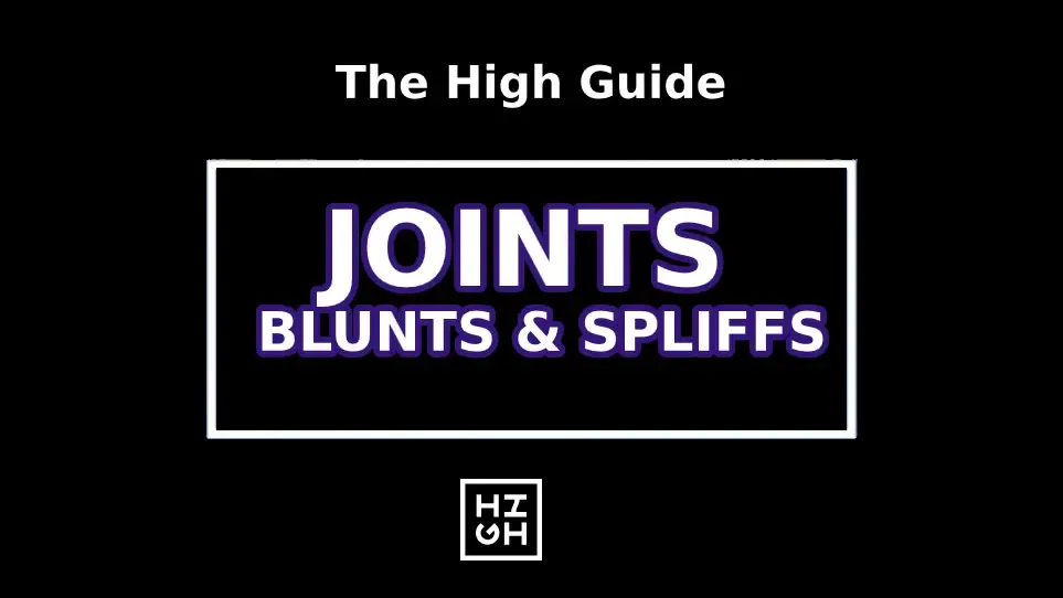Joint Guide